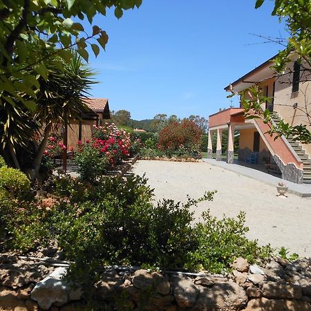 Bed And Breakfast Le Camelie アルゲーロ エクステリア 写真